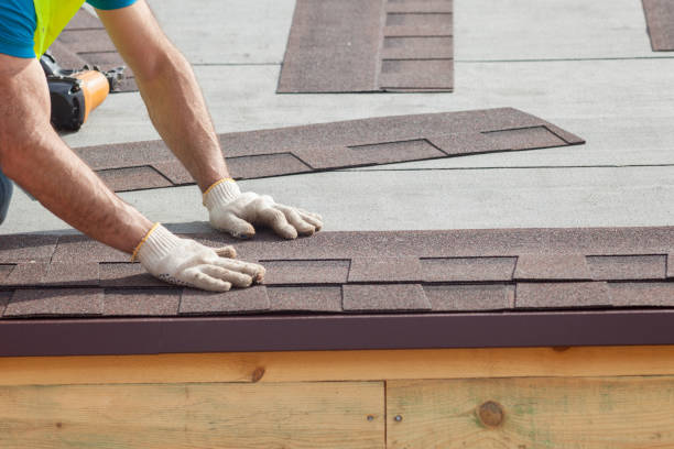 Best Roof Maintenance and Cleaning  in West Union, OH
