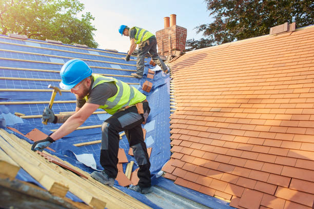 Best Emergency Roof Repair Services  in West Union, OH